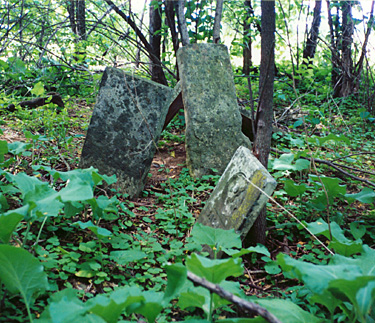 David Miller headstone - Haber Road, Randolph Township, Montgomery County, Ohio