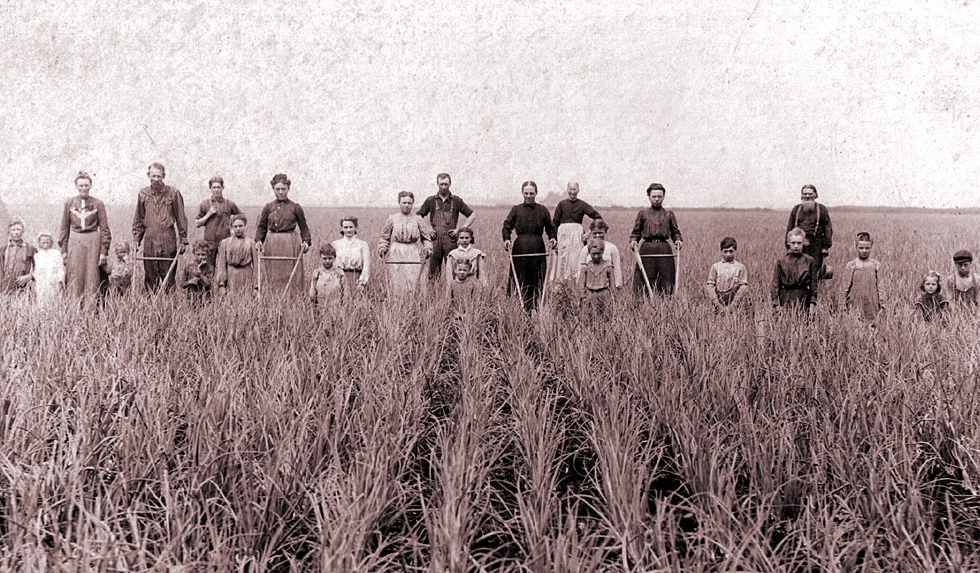 Moses Miller and Family in an Onion Field